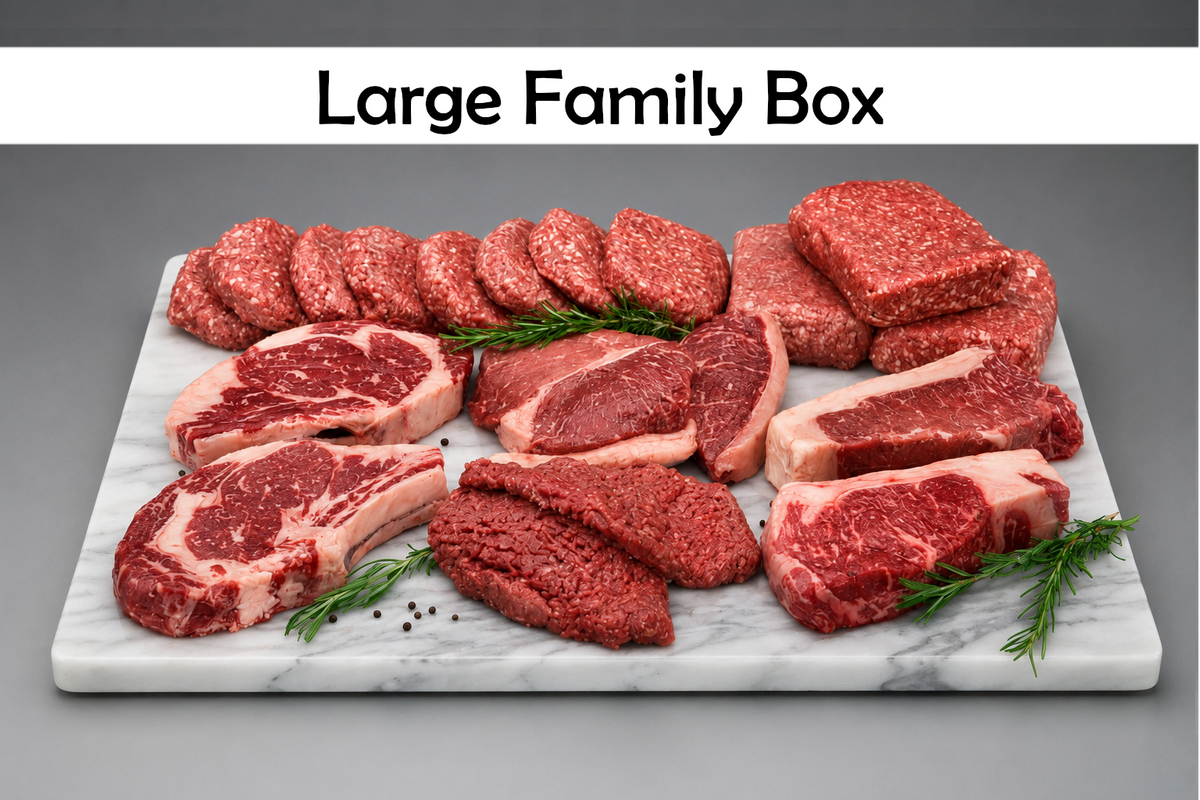 The Large Family Box